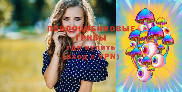 таблы Алзамай