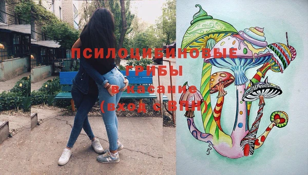 кокс Алексин